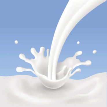 Milk
